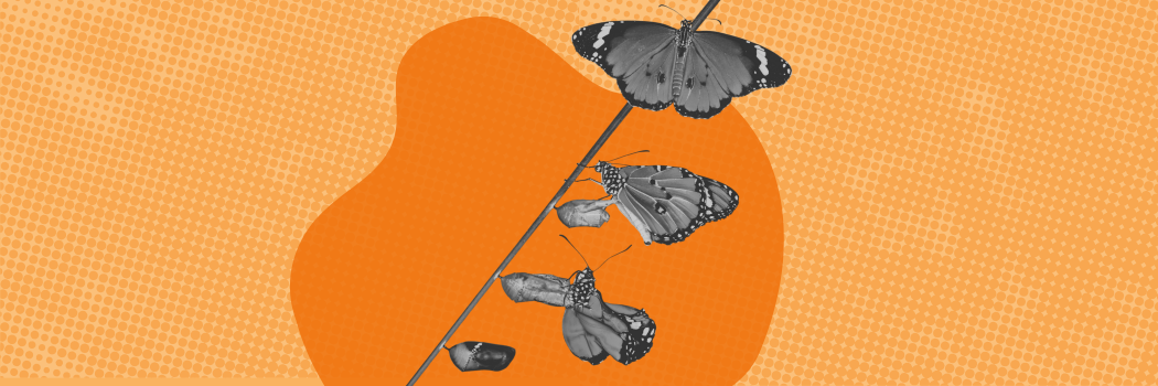 3-Nov-24-2025-09-54-14-3542-PM