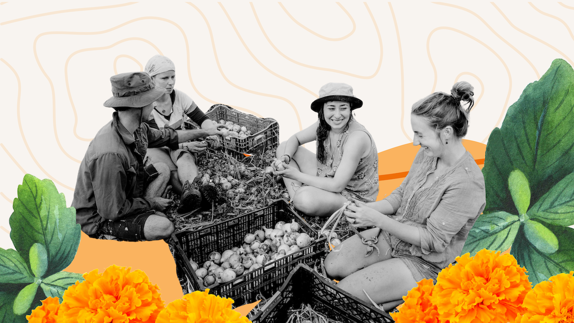 4 people sitting on the ground smiling around carts of vegetables, surrounded by marigold flowers and leaves