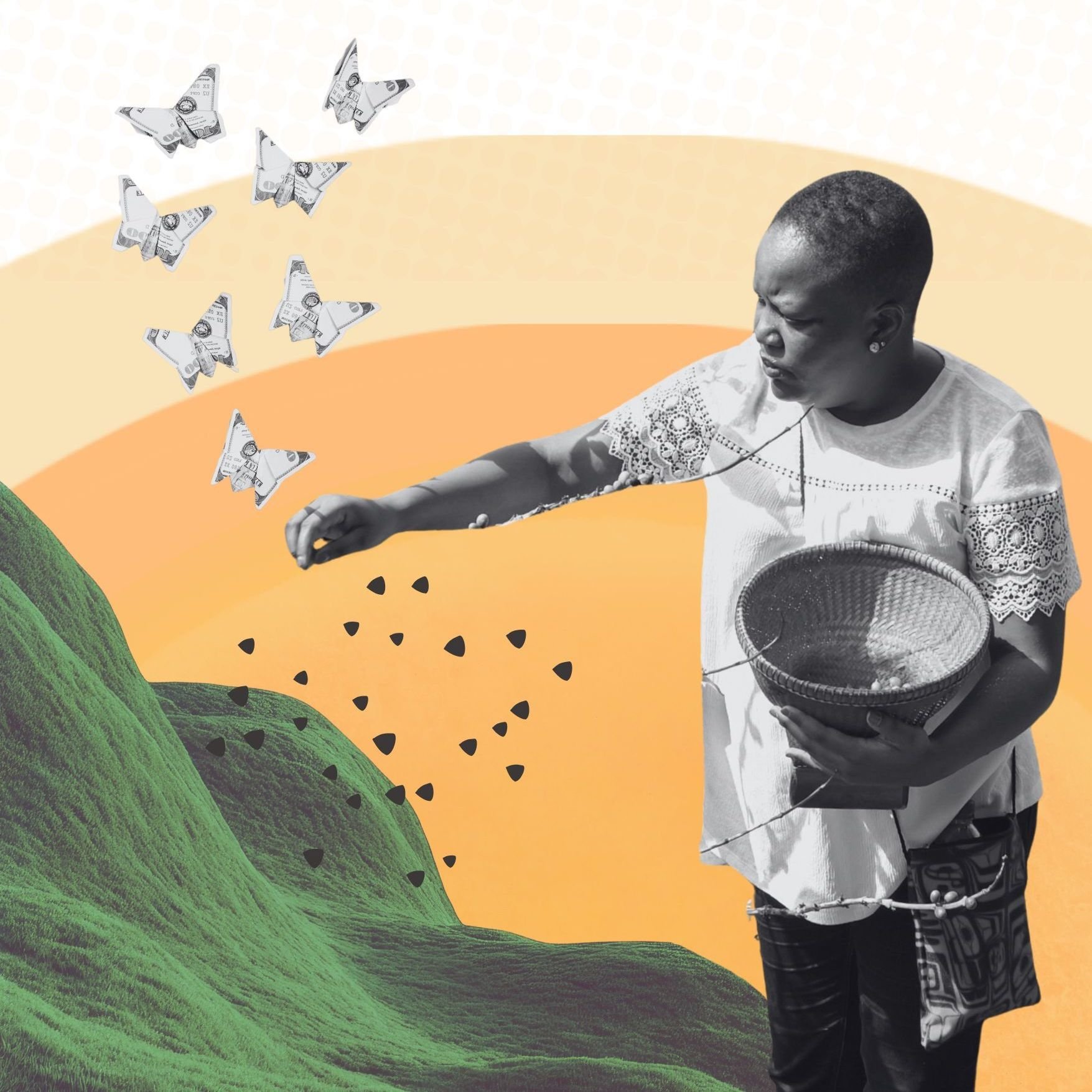 Seeds of the Next Economy 