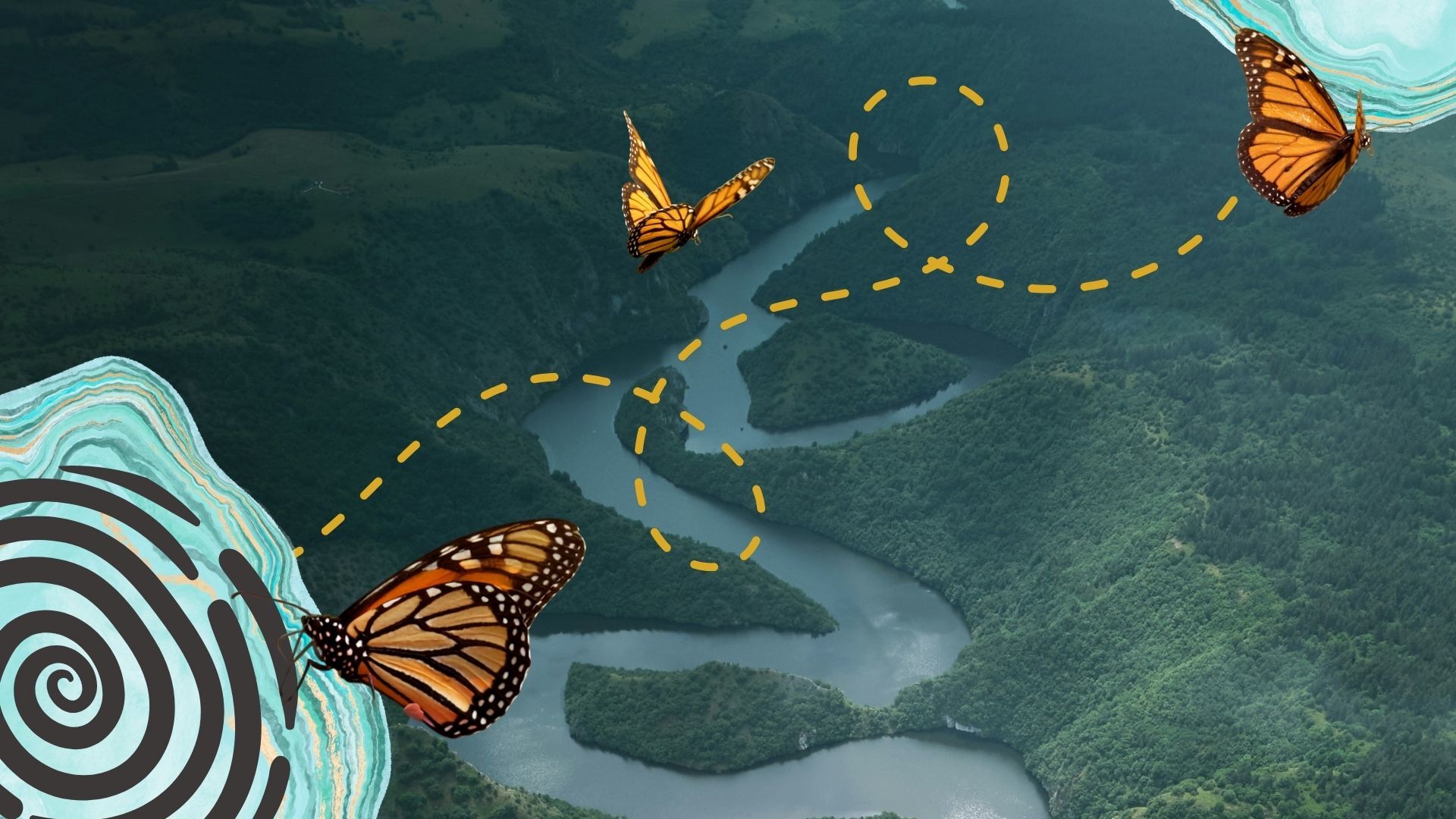 Lead Like a Living System: What nature knows about making change